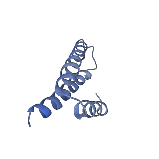 8596_5uq7_2_v1-2
70S ribosome complex with dnaX mRNA stemloop and E-site tRNA ("in" conformation)