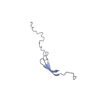 8596_5uq7_4_v1-2
70S ribosome complex with dnaX mRNA stemloop and E-site tRNA ("in" conformation)