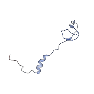 8596_5uq7_5_v1-2
70S ribosome complex with dnaX mRNA stemloop and E-site tRNA ("in" conformation)