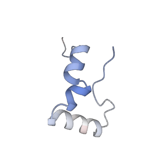 8596_5uq7_7_v1-2
70S ribosome complex with dnaX mRNA stemloop and E-site tRNA ("in" conformation)