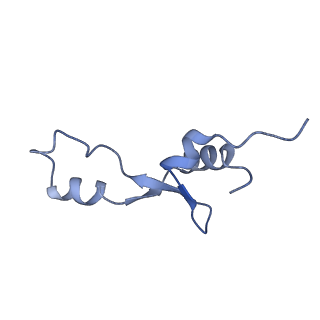 8596_5uq7_8_v1-2
70S ribosome complex with dnaX mRNA stemloop and E-site tRNA ("in" conformation)