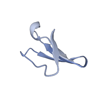 8596_5uq7_9_v1-2
70S ribosome complex with dnaX mRNA stemloop and E-site tRNA ("in" conformation)
