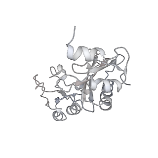 8596_5uq7_C_v1-2
70S ribosome complex with dnaX mRNA stemloop and E-site tRNA ("in" conformation)