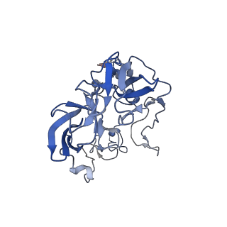 8596_5uq7_D_v1-2
70S ribosome complex with dnaX mRNA stemloop and E-site tRNA ("in" conformation)