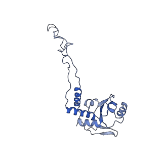 8596_5uq7_F_v1-2
70S ribosome complex with dnaX mRNA stemloop and E-site tRNA ("in" conformation)