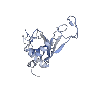 8596_5uq7_G_v1-2
70S ribosome complex with dnaX mRNA stemloop and E-site tRNA ("in" conformation)