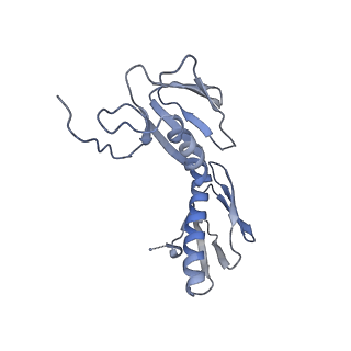 8596_5uq7_H_v1-2
70S ribosome complex with dnaX mRNA stemloop and E-site tRNA ("in" conformation)