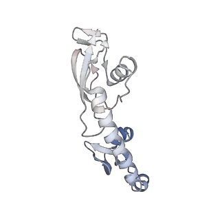 8596_5uq7_I_v1-2
70S ribosome complex with dnaX mRNA stemloop and E-site tRNA ("in" conformation)