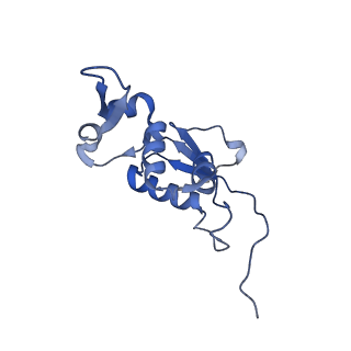 8596_5uq7_N_v1-2
70S ribosome complex with dnaX mRNA stemloop and E-site tRNA ("in" conformation)