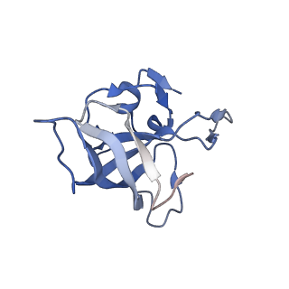 8596_5uq7_O_v1-2
70S ribosome complex with dnaX mRNA stemloop and E-site tRNA ("in" conformation)