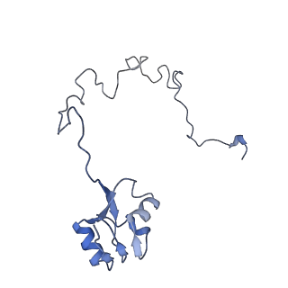 8596_5uq7_P_v1-2
70S ribosome complex with dnaX mRNA stemloop and E-site tRNA ("in" conformation)