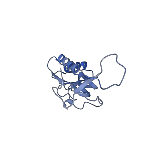 8596_5uq7_Q_v1-2
70S ribosome complex with dnaX mRNA stemloop and E-site tRNA ("in" conformation)