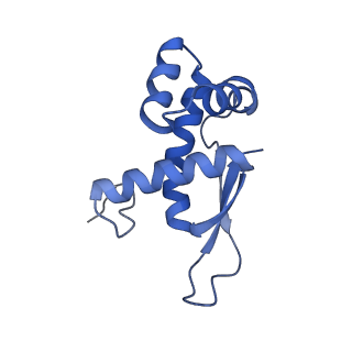 8596_5uq7_R_v1-2
70S ribosome complex with dnaX mRNA stemloop and E-site tRNA ("in" conformation)
