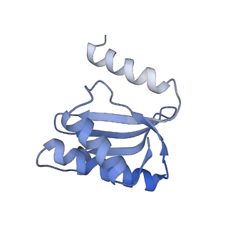 8596_5uq7_S_v1-2
70S ribosome complex with dnaX mRNA stemloop and E-site tRNA ("in" conformation)