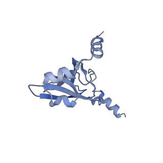 8596_5uq7_T_v1-2
70S ribosome complex with dnaX mRNA stemloop and E-site tRNA ("in" conformation)