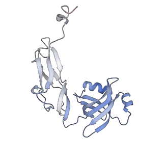 8596_5uq7_Z_v1-2
70S ribosome complex with dnaX mRNA stemloop and E-site tRNA ("in" conformation)