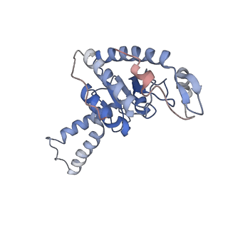 8596_5uq7_b_v1-2
70S ribosome complex with dnaX mRNA stemloop and E-site tRNA ("in" conformation)