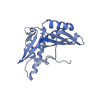 8596_5uq7_c_v1-2
70S ribosome complex with dnaX mRNA stemloop and E-site tRNA ("in" conformation)