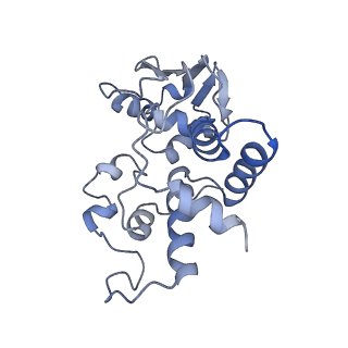 8596_5uq7_d_v1-2
70S ribosome complex with dnaX mRNA stemloop and E-site tRNA ("in" conformation)