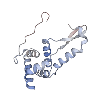 8596_5uq7_g_v1-2
70S ribosome complex with dnaX mRNA stemloop and E-site tRNA ("in" conformation)