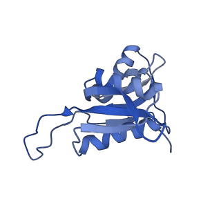 8596_5uq7_h_v1-2
70S ribosome complex with dnaX mRNA stemloop and E-site tRNA ("in" conformation)