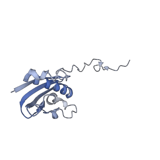 8596_5uq7_i_v1-2
70S ribosome complex with dnaX mRNA stemloop and E-site tRNA ("in" conformation)