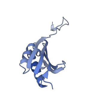 8596_5uq7_k_v1-2
70S ribosome complex with dnaX mRNA stemloop and E-site tRNA ("in" conformation)