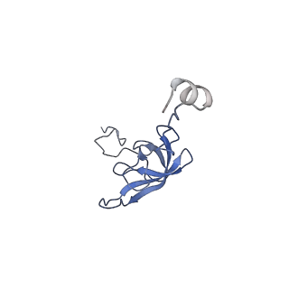 8596_5uq7_l_v1-2
70S ribosome complex with dnaX mRNA stemloop and E-site tRNA ("in" conformation)