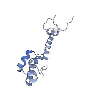 8596_5uq7_m_v1-2
70S ribosome complex with dnaX mRNA stemloop and E-site tRNA ("in" conformation)
