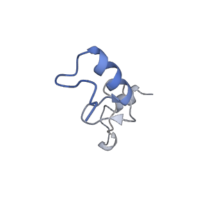8596_5uq7_n_v1-2
70S ribosome complex with dnaX mRNA stemloop and E-site tRNA ("in" conformation)