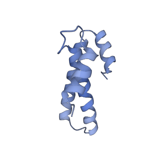 8596_5uq7_o_v1-2
70S ribosome complex with dnaX mRNA stemloop and E-site tRNA ("in" conformation)