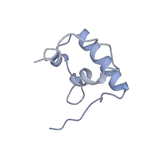 8596_5uq7_r_v1-2
70S ribosome complex with dnaX mRNA stemloop and E-site tRNA ("in" conformation)