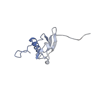 8596_5uq7_s_v1-2
70S ribosome complex with dnaX mRNA stemloop and E-site tRNA ("in" conformation)
