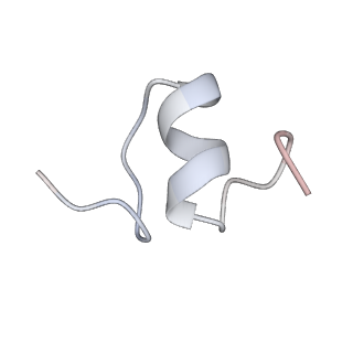 8596_5uq7_u_v1-2
70S ribosome complex with dnaX mRNA stemloop and E-site tRNA ("in" conformation)
