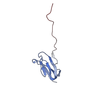 8597_5uq8_0_v1-1
70S ribosome complex with dnaX mRNA stem-loop and E-site tRNA ("out" conformation)