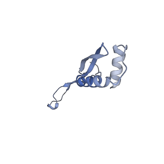 8597_5uq8_1_v1-1
70S ribosome complex with dnaX mRNA stem-loop and E-site tRNA ("out" conformation)