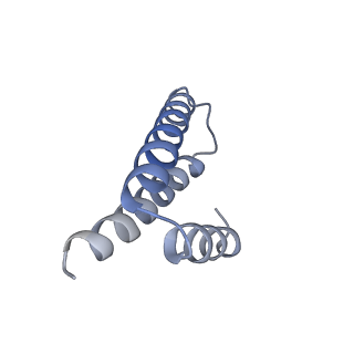 8597_5uq8_2_v1-1
70S ribosome complex with dnaX mRNA stem-loop and E-site tRNA ("out" conformation)