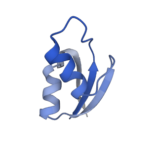 8597_5uq8_3_v1-1
70S ribosome complex with dnaX mRNA stem-loop and E-site tRNA ("out" conformation)