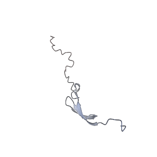 8597_5uq8_4_v1-1
70S ribosome complex with dnaX mRNA stem-loop and E-site tRNA ("out" conformation)