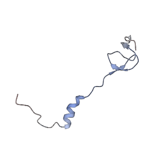 8597_5uq8_5_v1-1
70S ribosome complex with dnaX mRNA stem-loop and E-site tRNA ("out" conformation)