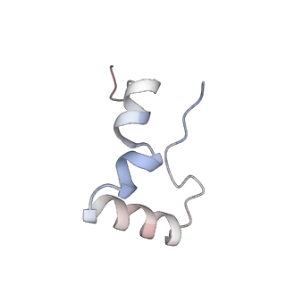 8597_5uq8_7_v1-1
70S ribosome complex with dnaX mRNA stem-loop and E-site tRNA ("out" conformation)