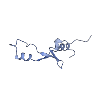 8597_5uq8_8_v1-1
70S ribosome complex with dnaX mRNA stem-loop and E-site tRNA ("out" conformation)
