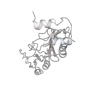 8597_5uq8_C_v1-1
70S ribosome complex with dnaX mRNA stem-loop and E-site tRNA ("out" conformation)