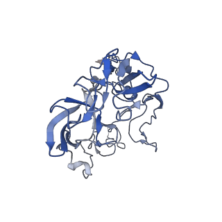8597_5uq8_D_v1-1
70S ribosome complex with dnaX mRNA stem-loop and E-site tRNA ("out" conformation)