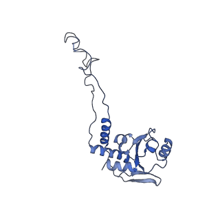 8597_5uq8_F_v1-1
70S ribosome complex with dnaX mRNA stem-loop and E-site tRNA ("out" conformation)