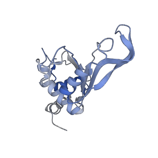 8597_5uq8_G_v1-1
70S ribosome complex with dnaX mRNA stem-loop and E-site tRNA ("out" conformation)