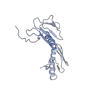 8597_5uq8_H_v1-1
70S ribosome complex with dnaX mRNA stem-loop and E-site tRNA ("out" conformation)