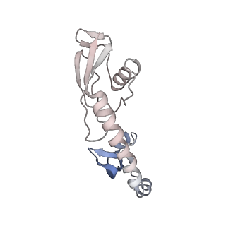 8597_5uq8_I_v1-1
70S ribosome complex with dnaX mRNA stem-loop and E-site tRNA ("out" conformation)