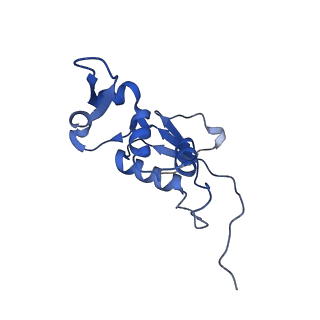8597_5uq8_N_v1-1
70S ribosome complex with dnaX mRNA stem-loop and E-site tRNA ("out" conformation)