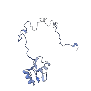 8597_5uq8_P_v1-1
70S ribosome complex with dnaX mRNA stem-loop and E-site tRNA ("out" conformation)